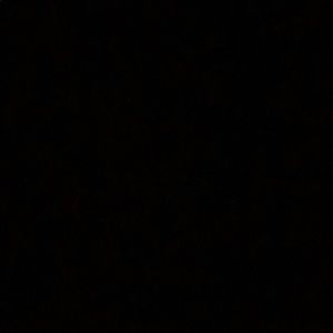 Meet your Posher, Jazmine